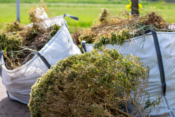 Best Junk Hauling Services  in Humansville, MO